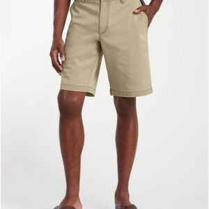 Big and Tall Stretch Chino Shorts in Khaki